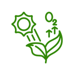 photosynthesis-icon